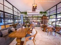 เก็คโค่ การ์เด้นท์ คาเฟ่ (Gecko Garden cafe)