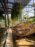 เจมี่ คาเฟ่ (Jamie Café)