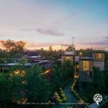 แบงค์คอกทรีเฮ้าส์ (Bangkok Tree House)