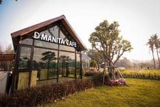 ดี-มะนี-ตะ (D’manita Cafe)
