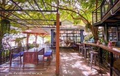 เก็คโค่ การ์เด้นท์ คาเฟ่ (Gecko Garden cafe)
