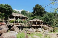 สเตย์ ไวล์ด แอนด์ คาเฟ่ (Stay Wild & Café)