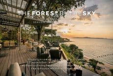 เดอะ ฟอเรส บาย เดอะสกาย (The Forest by The Sky)