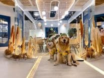 เดอะ ลูน่า บีช เฮาส์ (The Lunar Beach House)