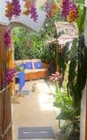 โอเอซิส วิลล่า (Oasis Villa)