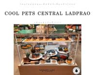 ด็อกเกอรี่คาเฟเพ็ทเดลี่ (Dogkery Cafe Pet Deli)