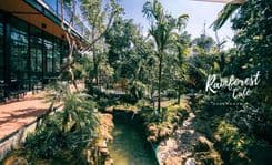 เรฟฟรอเรน คาเฟ่ (Rainforest Café)