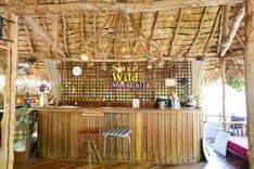 สเตย์ ไวล์ด แอนด์ คาเฟ่ (Stay Wild & Café)