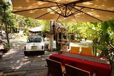 สเตย์ ไวล์ด แอนด์ คาเฟ่ (Stay Wild & Café)