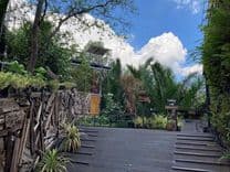 แบงค์คอกทรีเฮ้าส์ (Bangkok Tree House)