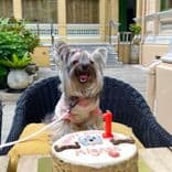 ด็อกเกอรี่คาเฟเพ็ทเดลี่ (Dogkery Cafe Pet Deli)