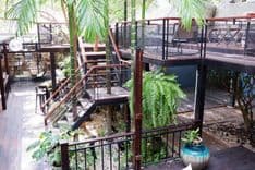 เก็คโค่ การ์เด้นท์ คาเฟ่ (Gecko Garden cafe)