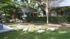 บ้านถั่วเย็น ไลฟ์สเปซ (Baantuayen Life Space)
