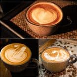 ดี-มะนี-ตะ (D’manita Cafe)