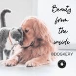ด็อกเกอรี่คาเฟเพ็ทเดลี่ (Dogkery Cafe Pet Deli)