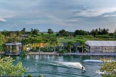 ลิตเติล แพลนท์ คาเฟ่ แอนด์ เวค ปาร์ค (Little Plant Café & Wake Park)