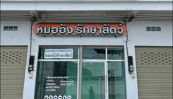 หมออังรักษาสัตว์