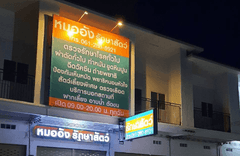 หมออังรักษาสัตว์