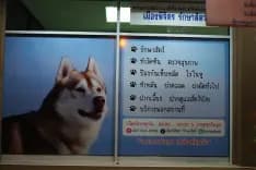 เมืองพิจิตรรักษาสัตว์