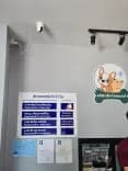 คลินิกสัตว์หมอเบย์ รักษาสัตว์นครสวรรค์