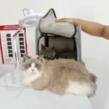 ฟูฟู คลินิกสัตว์
