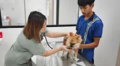 คลินิกรักษาสัตว์เพ็ทเมดิก