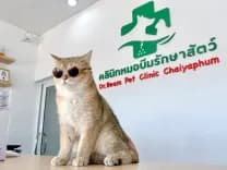 คลินิกหมอบีมรักษาสัตว์
