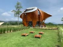 บลิส แอนด์ บลูม คาเฟ่ (Bliss & Bloom Cafe)