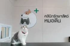คลินิกรักษาสัตว์หมอดีน