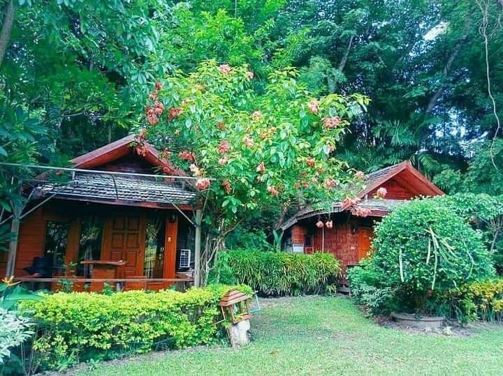 บ้านต้นไม้ปายรีสอร์ท (Tree House Pai Resort)