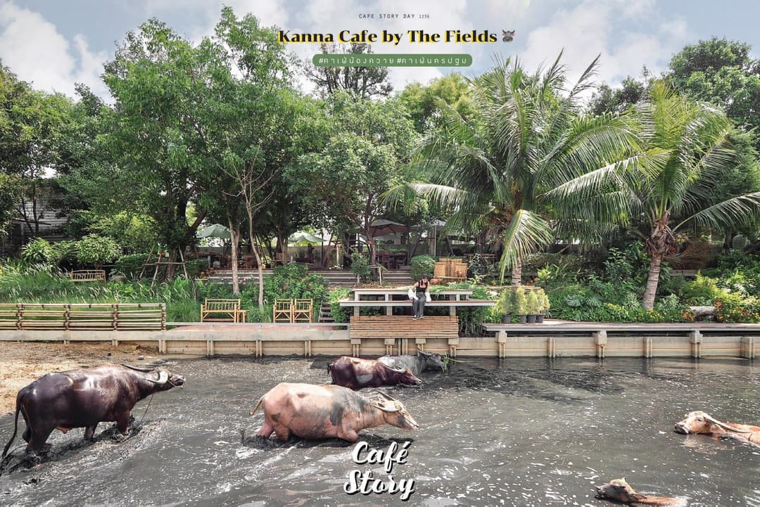 คันนา – คาเฟ่ริมทุ่ง (Kanna – Cafe by the Fields)