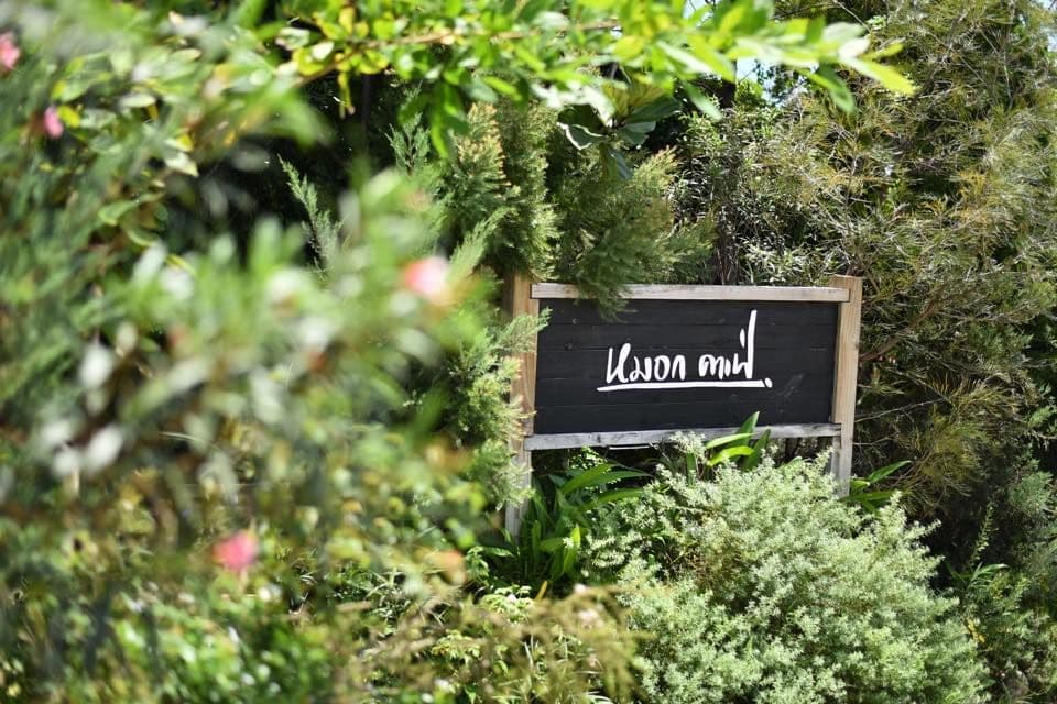 หมอก คาเฟ่ (Mok Cafe)