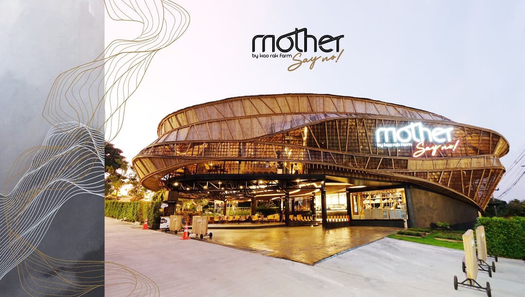 มาเธอร์เซย์โน (Mother Say No)