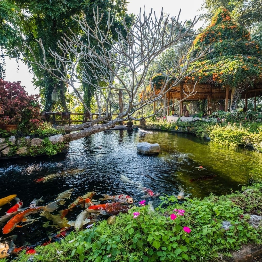 ภูใจใส เม้าเทนท์ รีสอร์ท แอนด์ สปา (Phu Chaisai Mountain Resort)