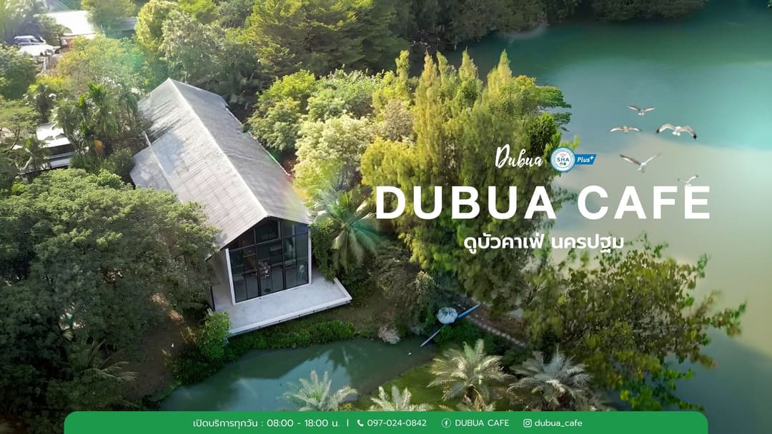 ดูบัวคาเฟ่ (DUBUA CAFE)