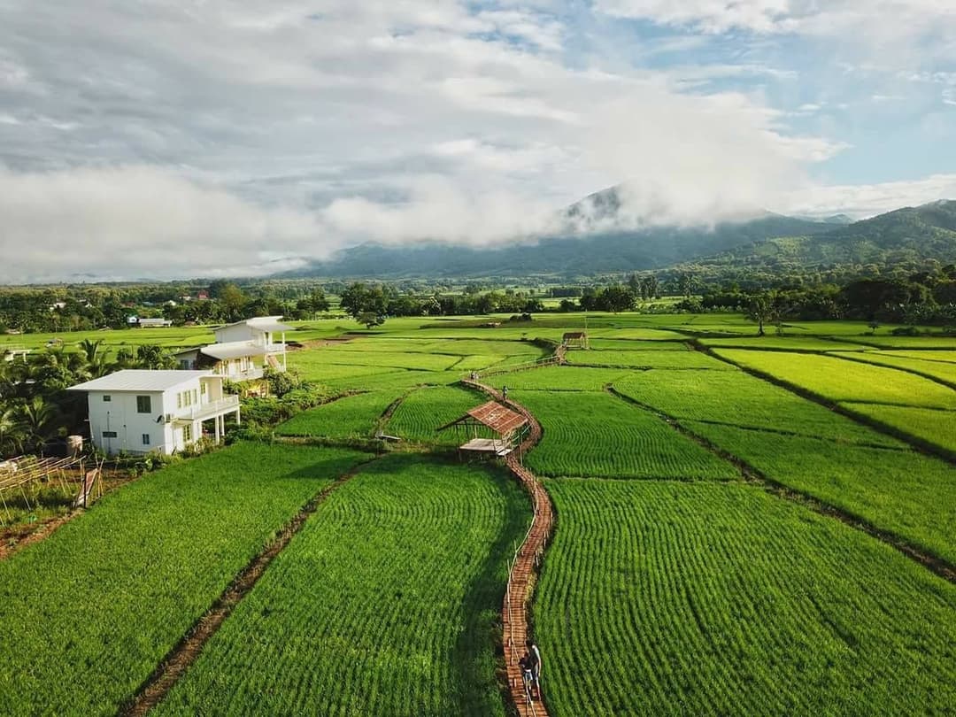 โฮมสเตย์ตานงค์ (Homestay Tanong)