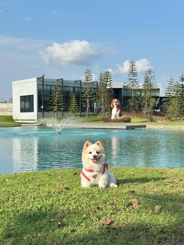 มิส ยู อะ ลอท รีสอร์ท (Miss you a lot Resort)