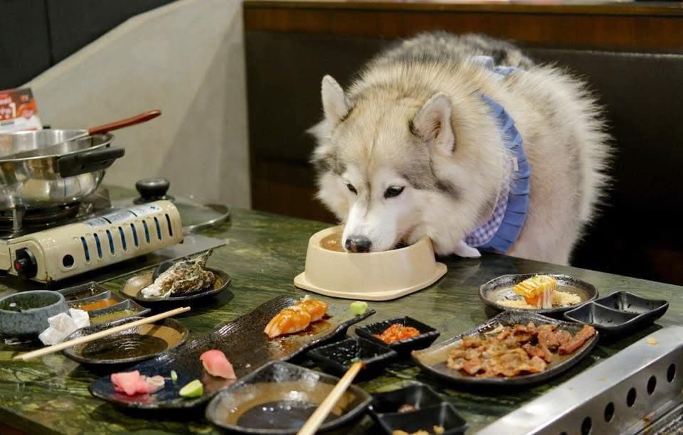 KO-YA