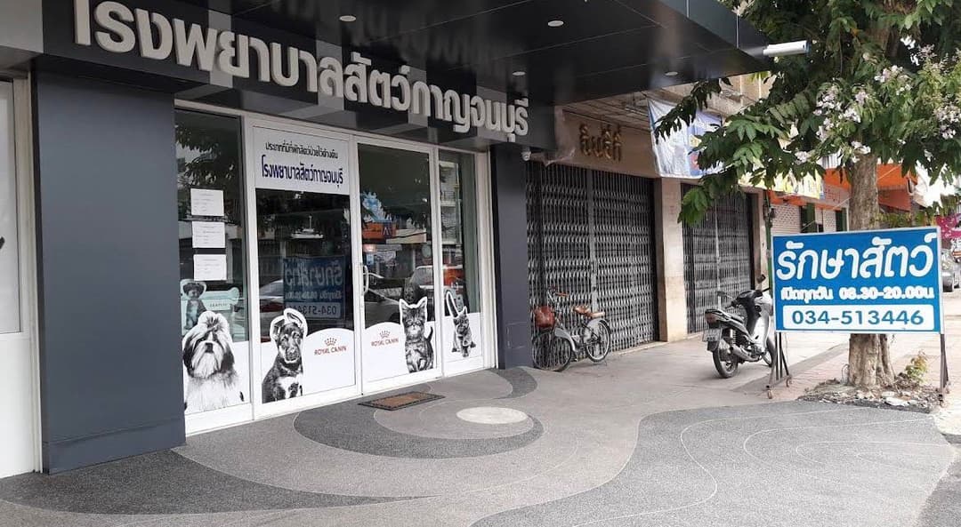 โรงพยาบาลสัตว์ กาญจนบุรี KanVet