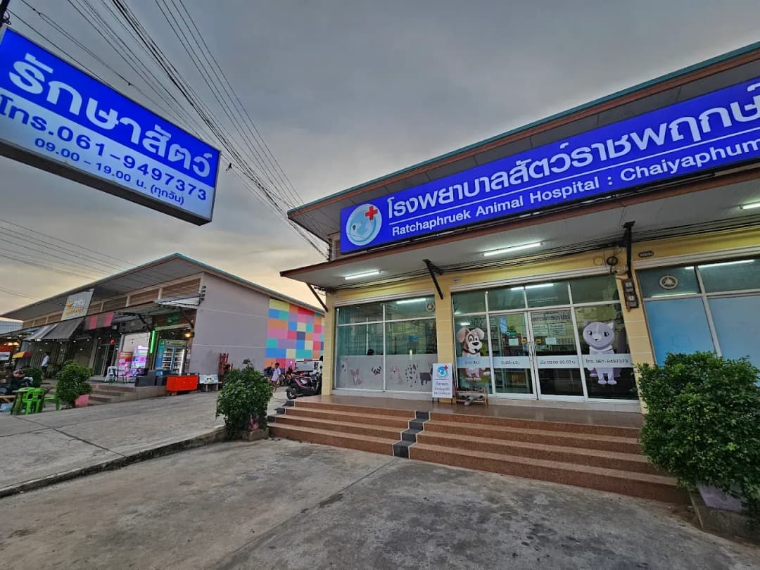 โรงพยาบาลสัตว์ราชพฤกษ์ จ.ชัยภูมิ